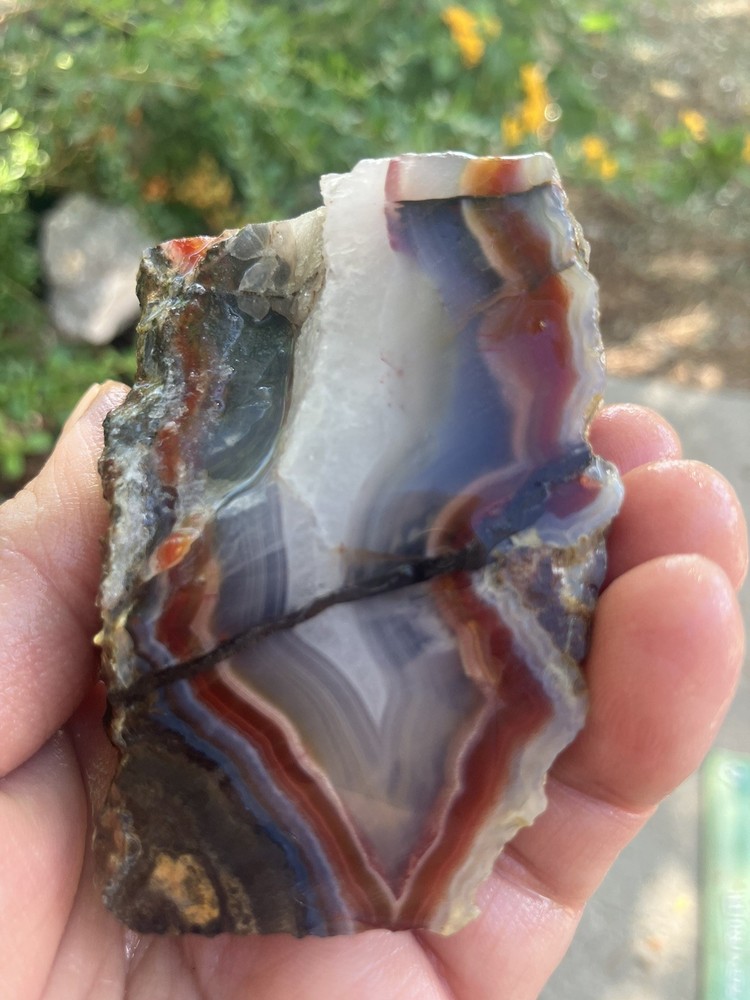 Laguna Agate Specimen (Rough)
