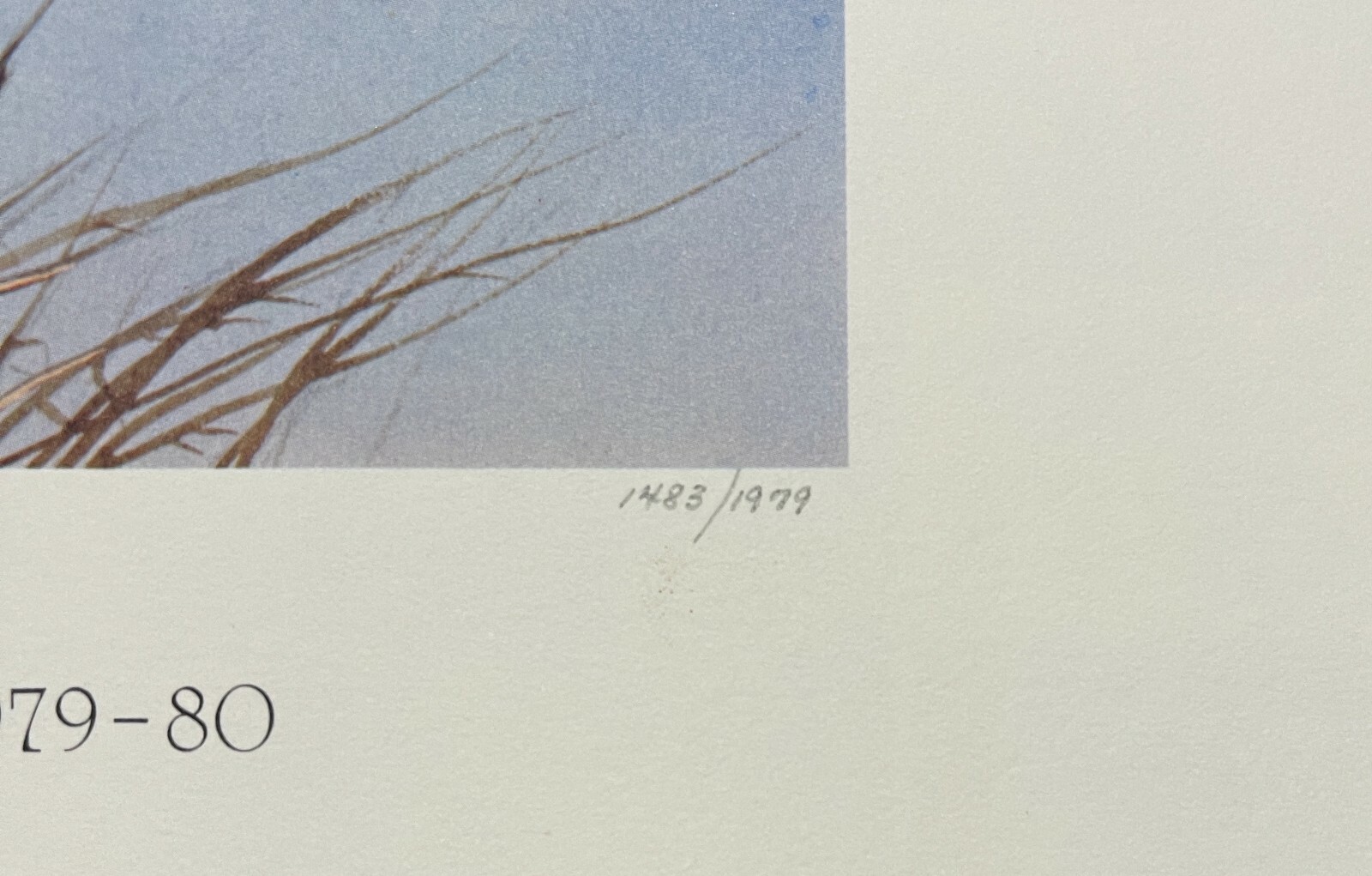 1979 TENNESSEE - State Duck Stamp Print - with STAMP! **First of State**