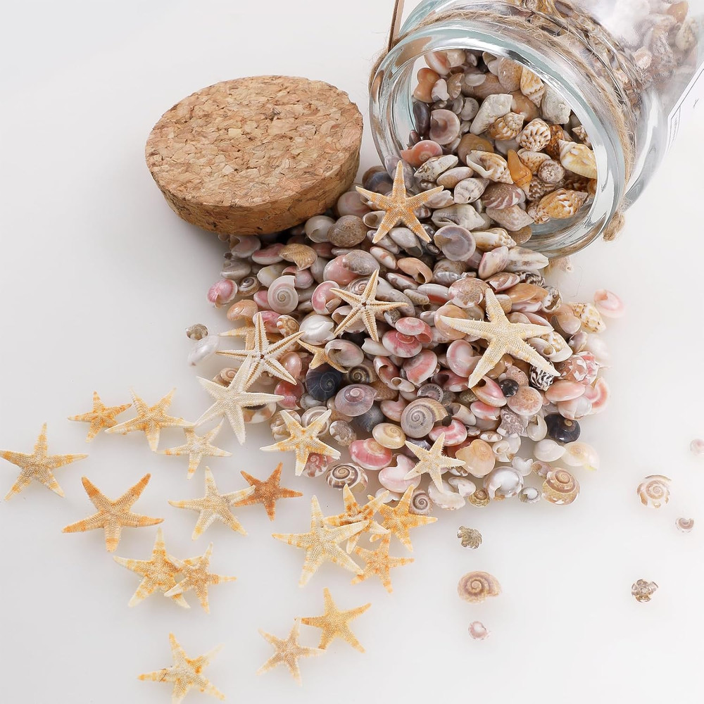 60Pcs Tiny Starfish 1800 Pcs Tiny Mini Small Sea Shells for Crafting Spiral Conc