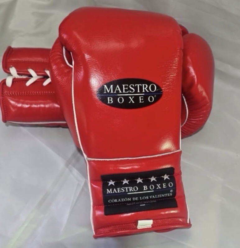 Maestro Boxeo