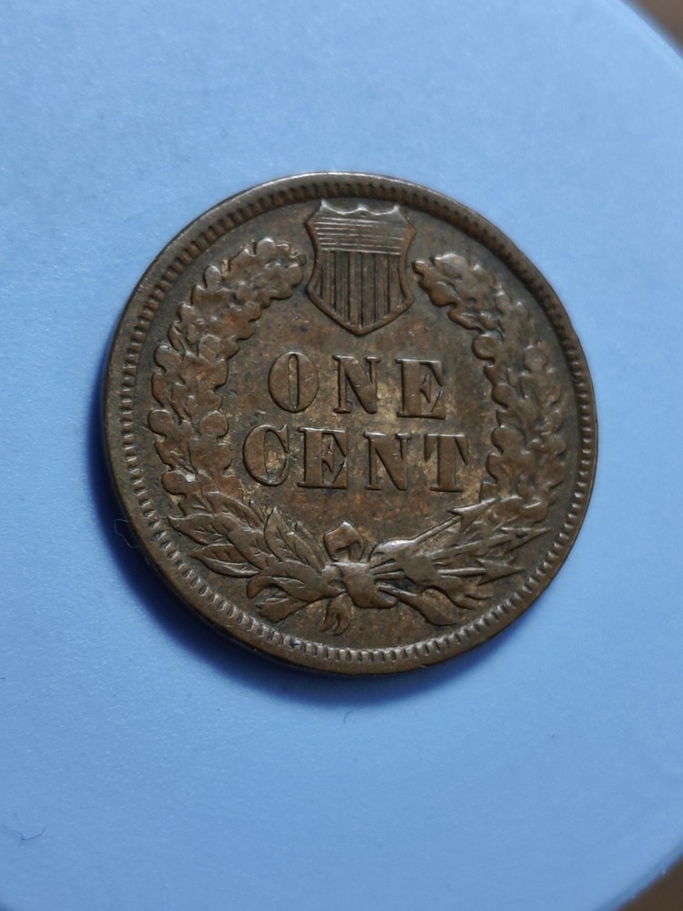 1898 Indian Head Cent #460