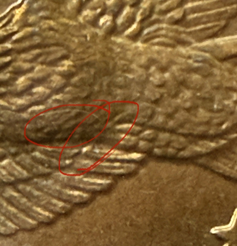 2000-P Sacagawea Dollar "Slightly Wounded Eagle" Error; DDO IGWT
