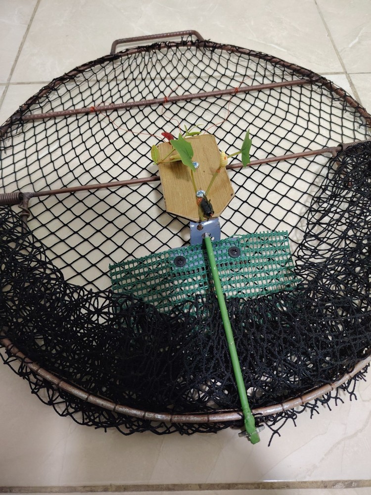 Oval Smart Bird Trap Net – Humane Catching Cage for Sparrows, Pigeons & parrot