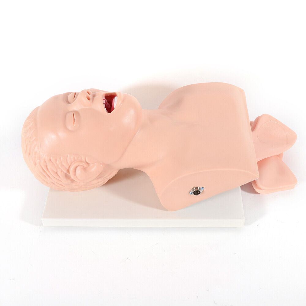 Intubation Manikin Study Teaching Simulator Airway Management Trainer Tool Model