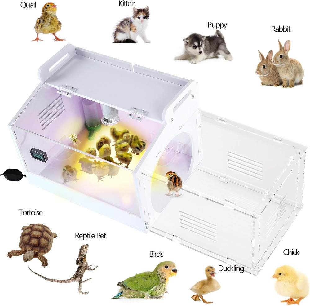 Iarge-Scale Chick brooder Box Quail Cage Egg Incubator Chick Starter Kit Chicke