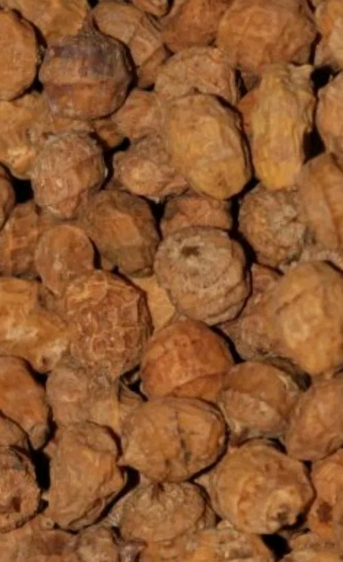 10kg Large Tigernuts Unprepared