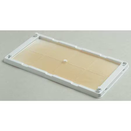 Catchmaster 48Wrg Glue Trap, Cold Temperature, Pk2