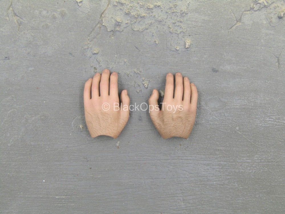 1/6 Scale Toy The Wolverine - Hand Set