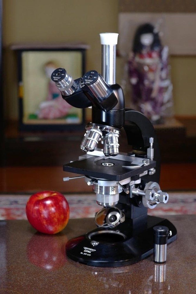 Carl Reichert's phase contrast microscope (BIOZET)
