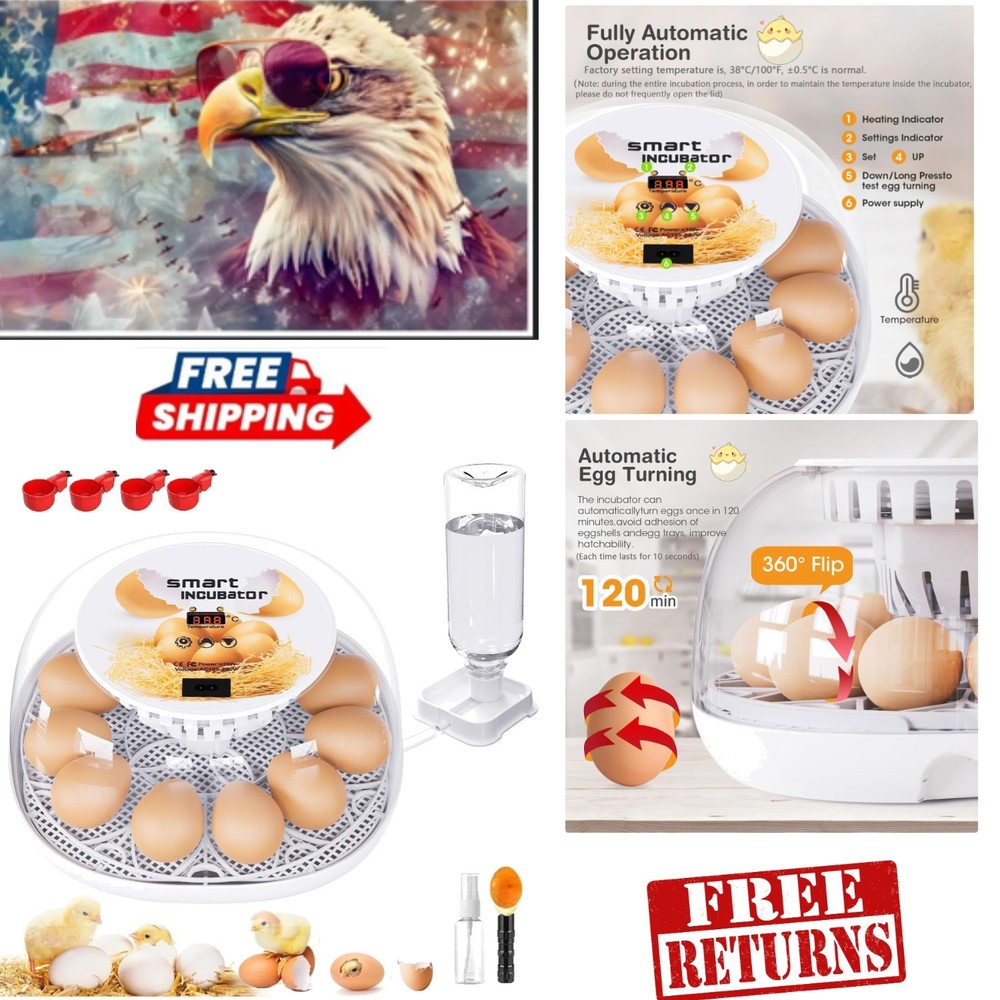 Durable 12-Egg Automatic Incubator with Clear LED Display & Easy Maintenance