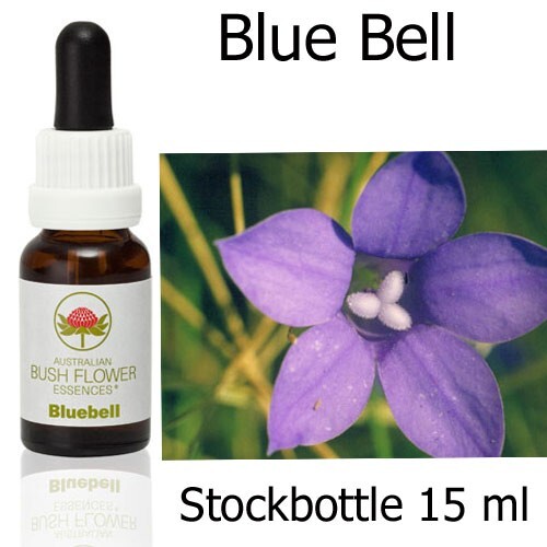 BLUEBELL Australian Bush Flower Essences Australian Bush Flowers