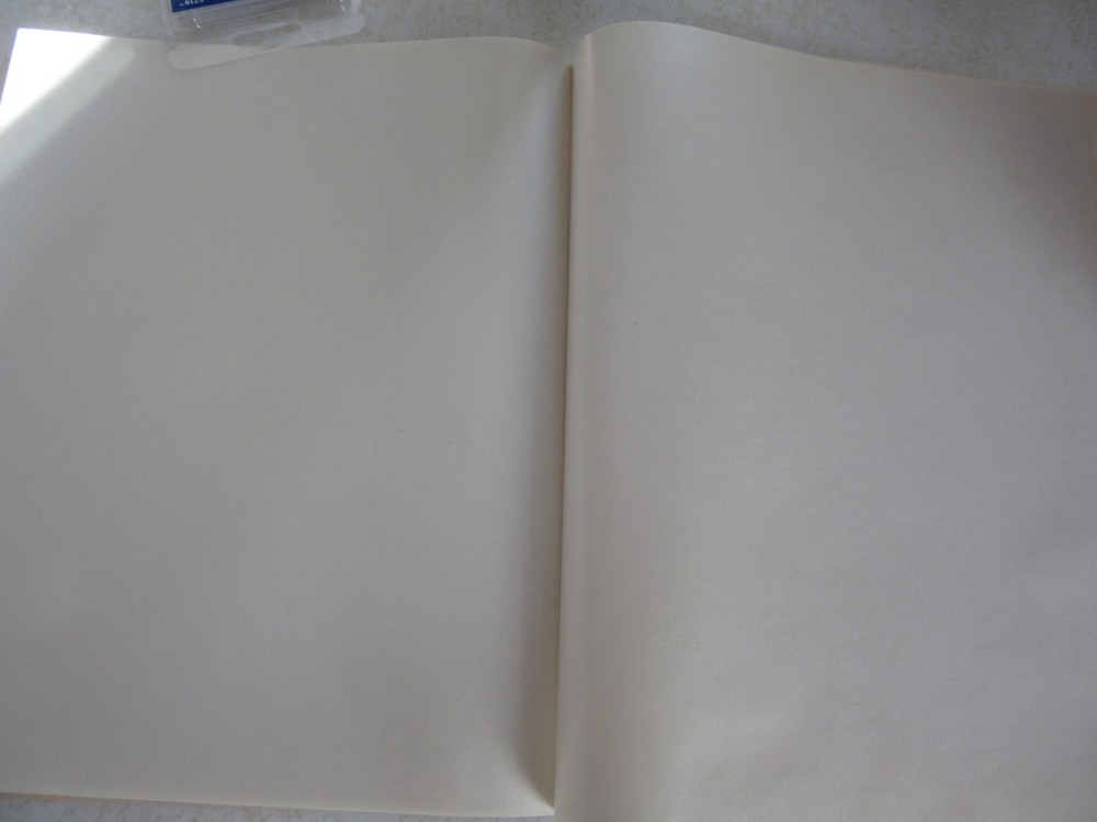 White Ace Standard Mint Sheet File - 10" x 12" Used but Great Condition