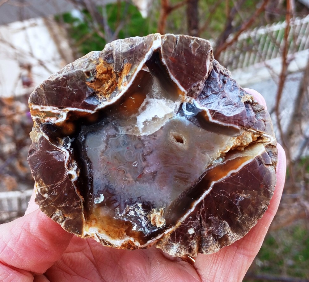 Mirror Polished Star Thunderegg Agate