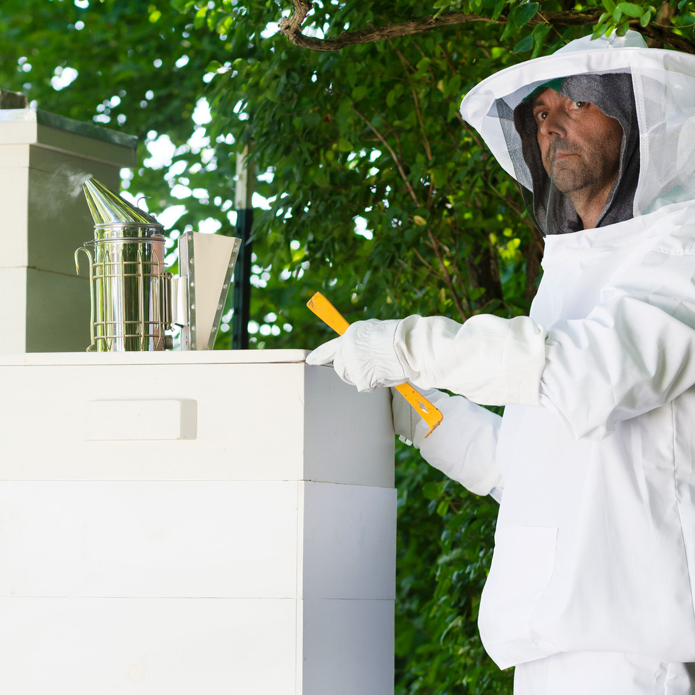 VIVO Large Beekeeping Bee Keeping Suit, Jacket, Pull Over, Smock with Veil