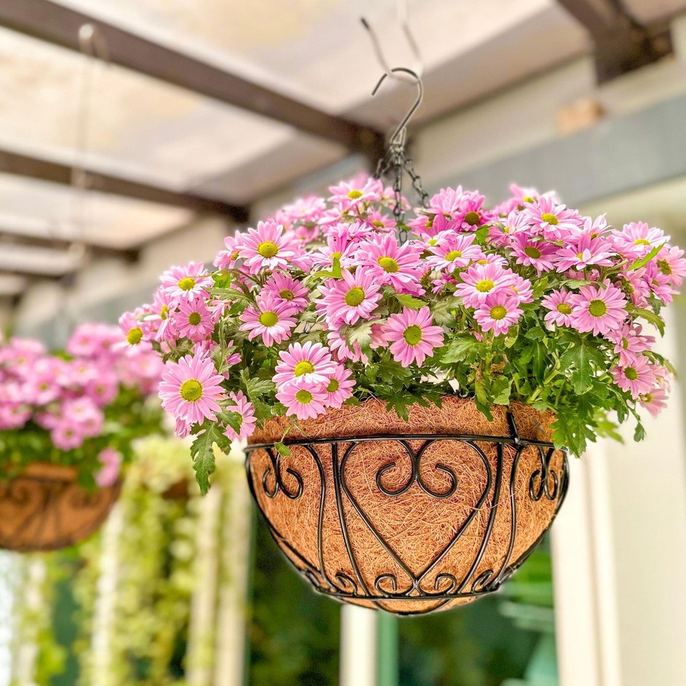 LaLaGreen 14" (4 Pack, Round) Coco Liners for Hanging Basket – Medium Coconut...