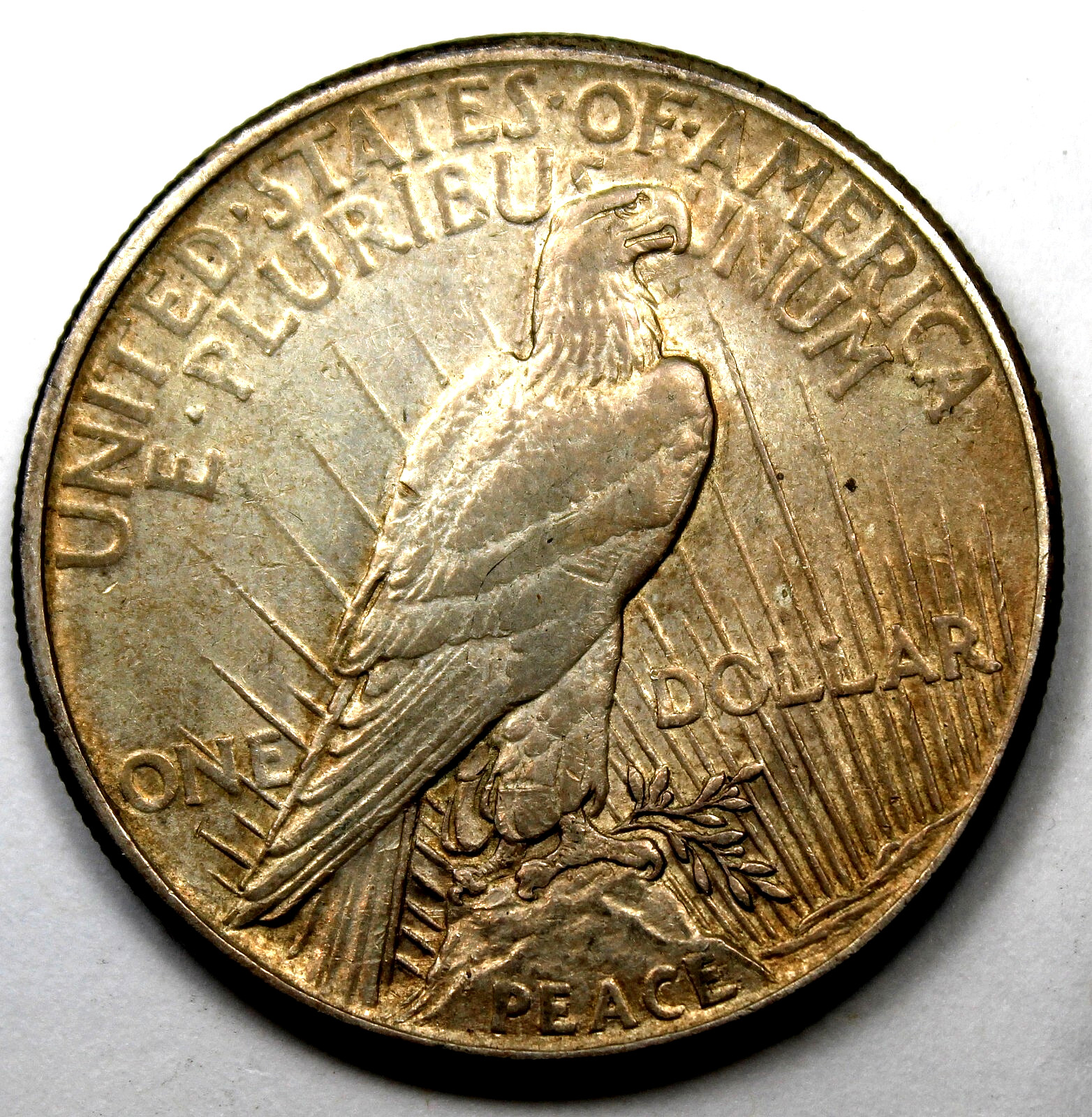 1921 Peace Dollar - AU !!