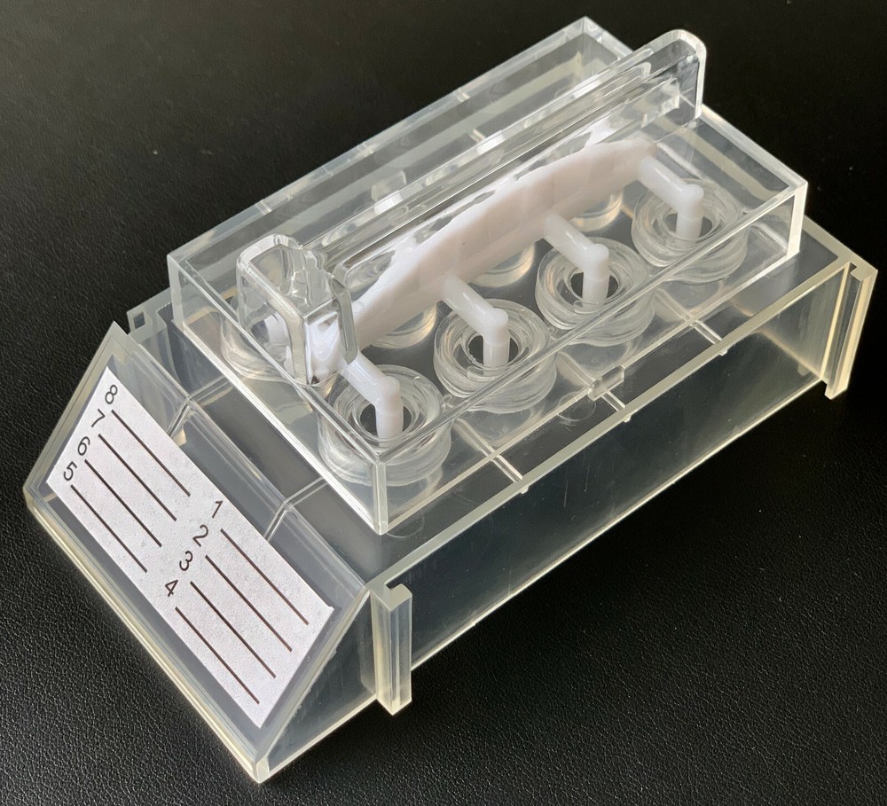 ALLERGY 8-VIAL TRANSLUCENT PLASTIC TRAY