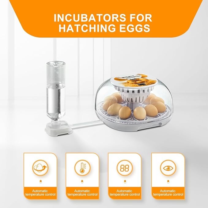 Egg Incubator 12 Eggs Incubator with Automatic Egg Turning for Hatching Eggs