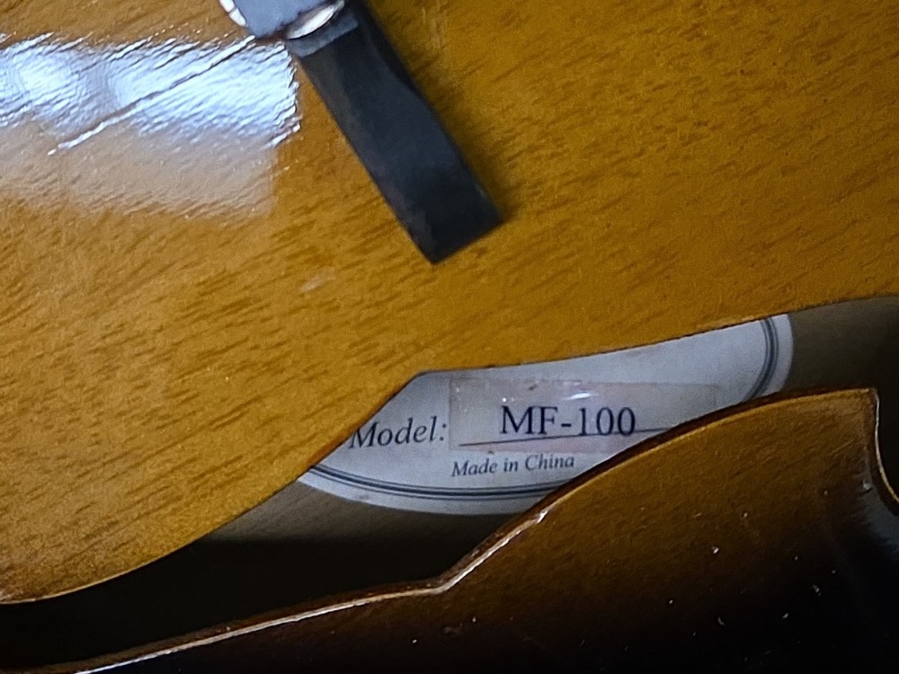 Johnson Model MF-100 Mandolin with Hardshell Gig Bag