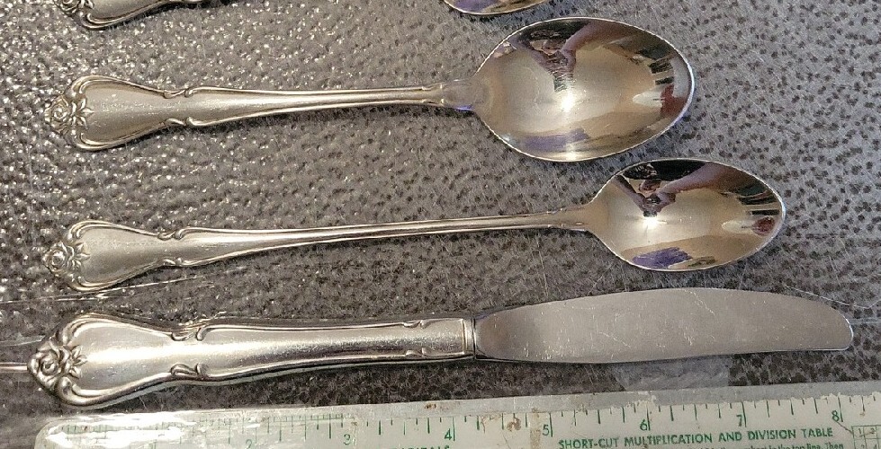 Oneida Arbor Rose True Rose 6pc Place Setting
