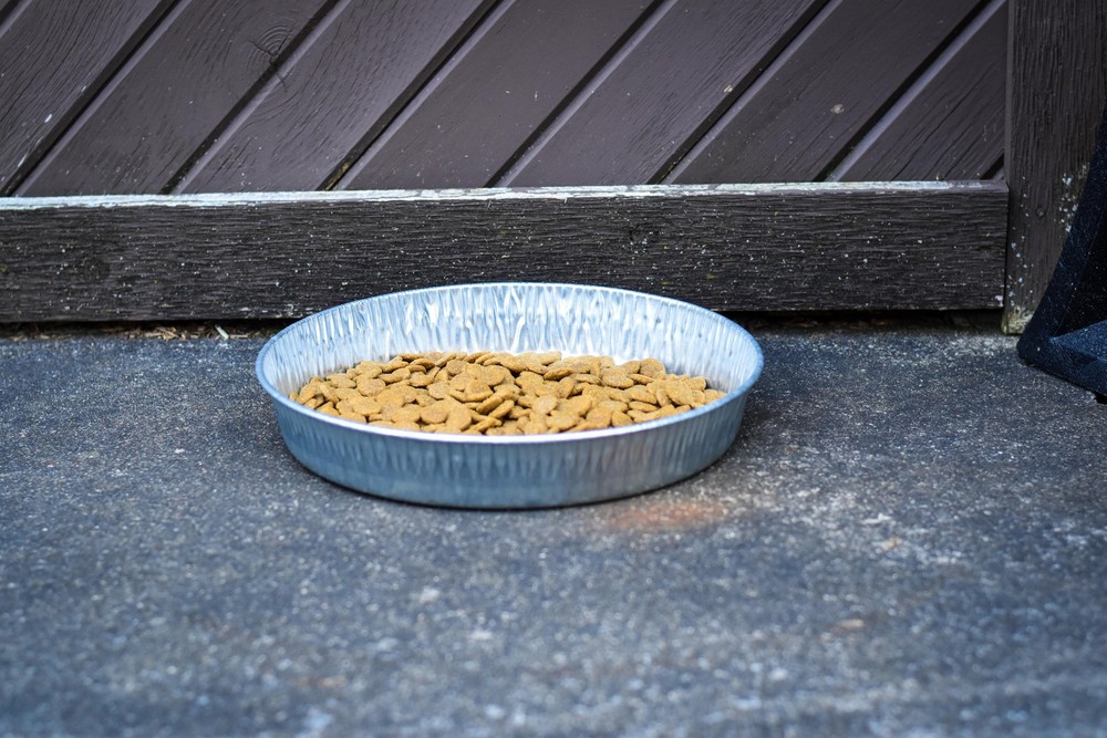 (2 pack) Bergan Galvanized Dog Pan