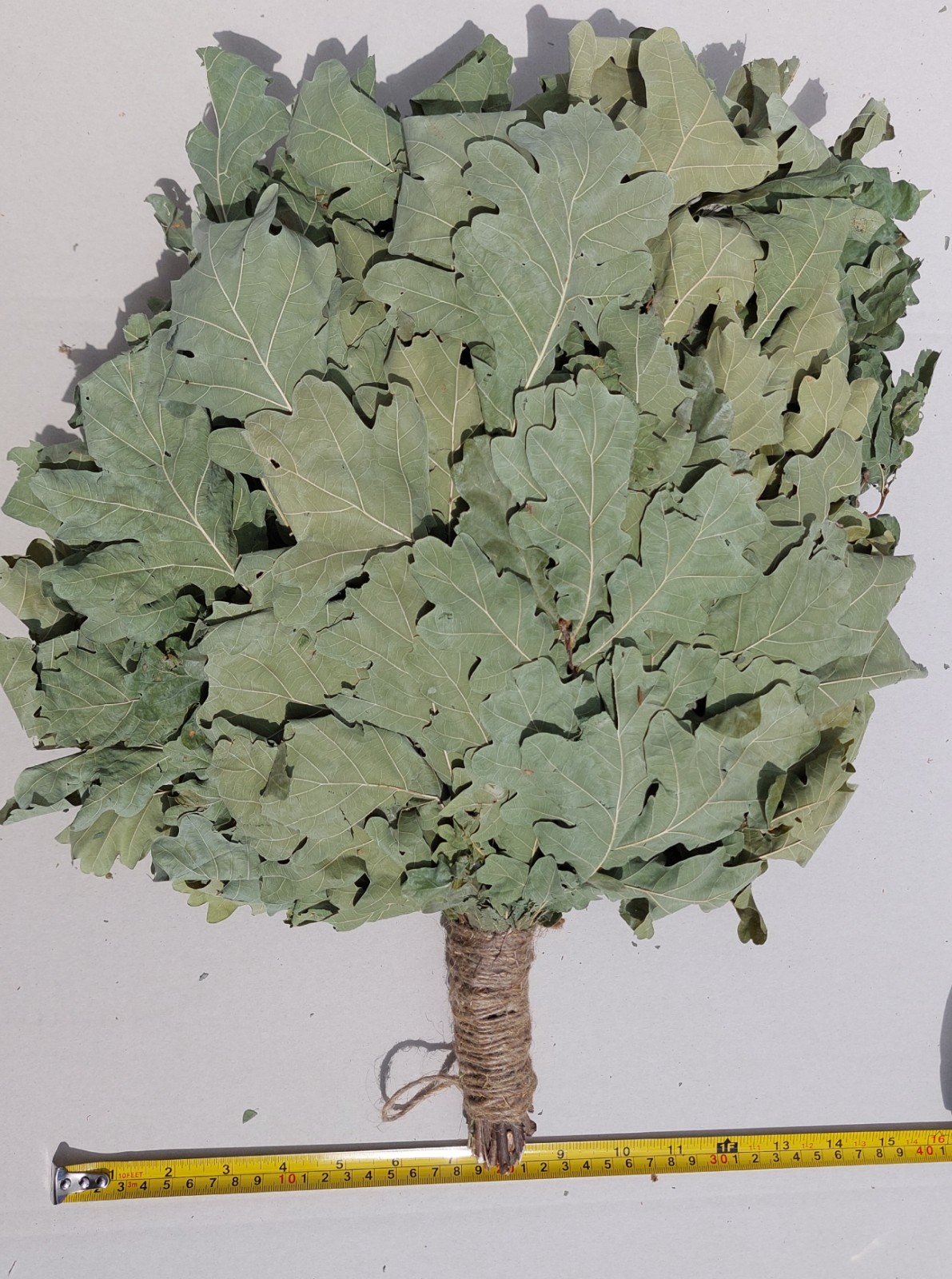 18st Oak brooms+herbs sauna banya venik whisks Eiche eco 2025 Ukrainian free shi