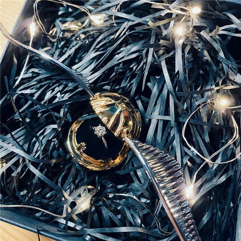 Harry Potter Platinum Wing Golden Snitch Ring Box Jewelry Storage Necklace Chain