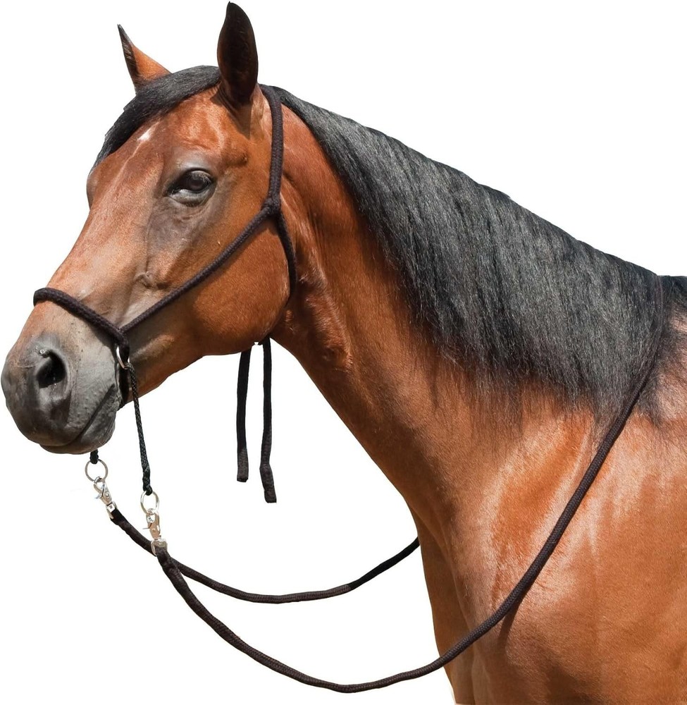 Nylon Bitless Bridle Reins Horse Control Unisex Basic Training Gear
