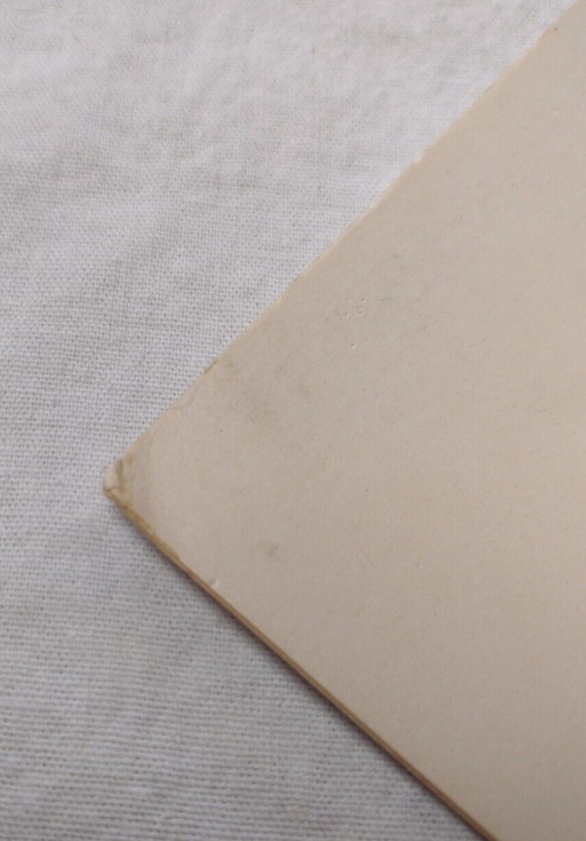 New Old Stock '75 Adventures Of The Wilderness Family 14x22 Theater Movie Poster