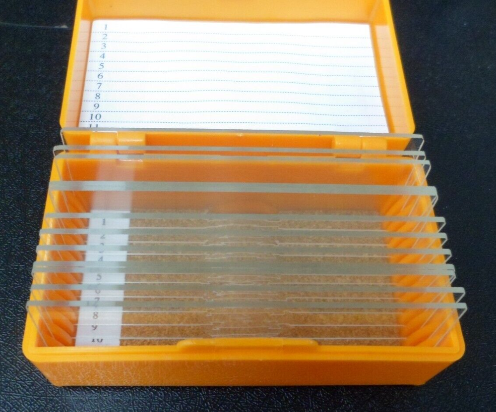 B148-12 Single Concavity Microscope Slides Pack of 12