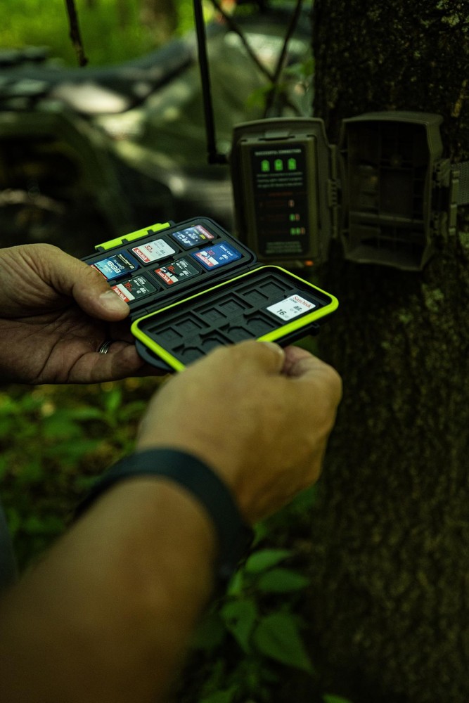 SD Memory Card Storage Case Polymer