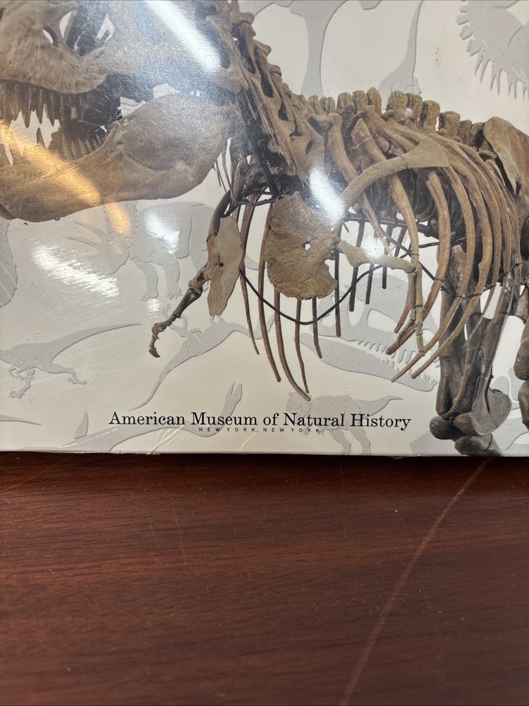 Dinosaur “Computer Font Set”- 3.5 Disk For Mac OS ***Sealed