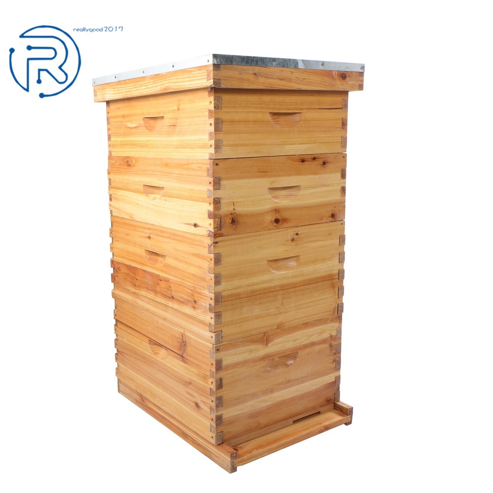 Beeswax Coated 4 Layer 10 Frame Bee Hive Includes Beehive Frames and Foundations