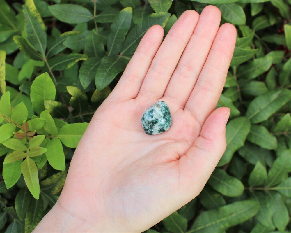 1/2 lb Bulk Tree Agate Agate Tumbled Stone (8 oz) Crystal Healing Dendric Agate