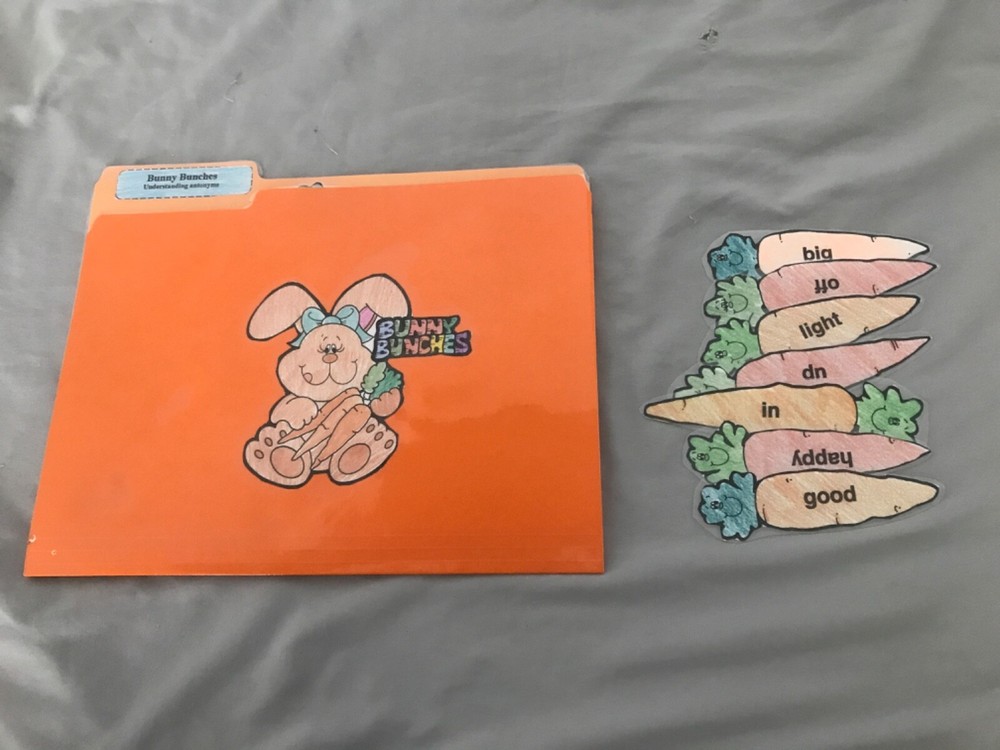 Bunny Bunches! Aantonyms Grade 2nd language arts file folder game