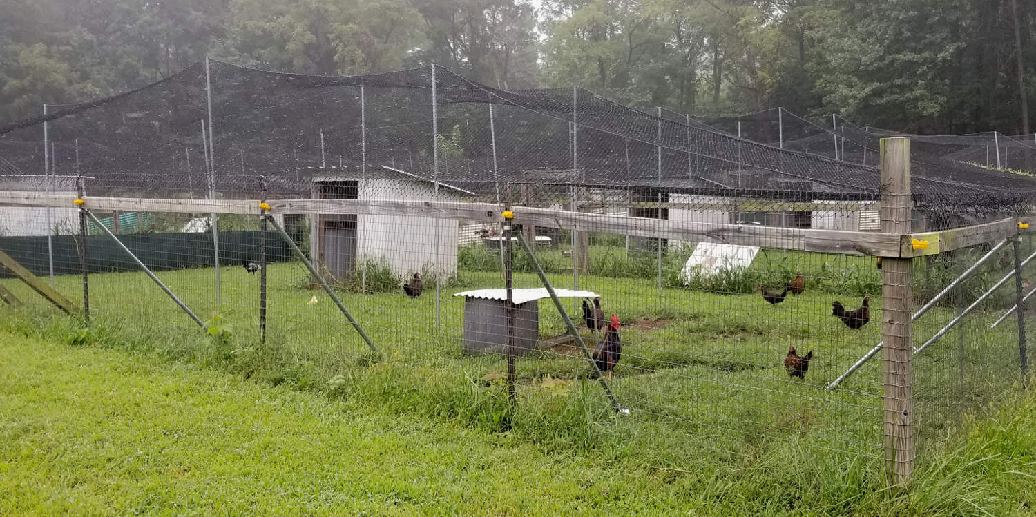 Netting Poultry Anti Bird Aviary Fruit Garden Protection Nets Long Lasting!