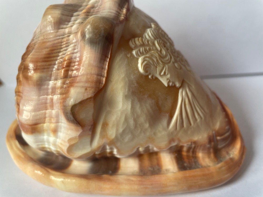 Scrimshaw shell cameo