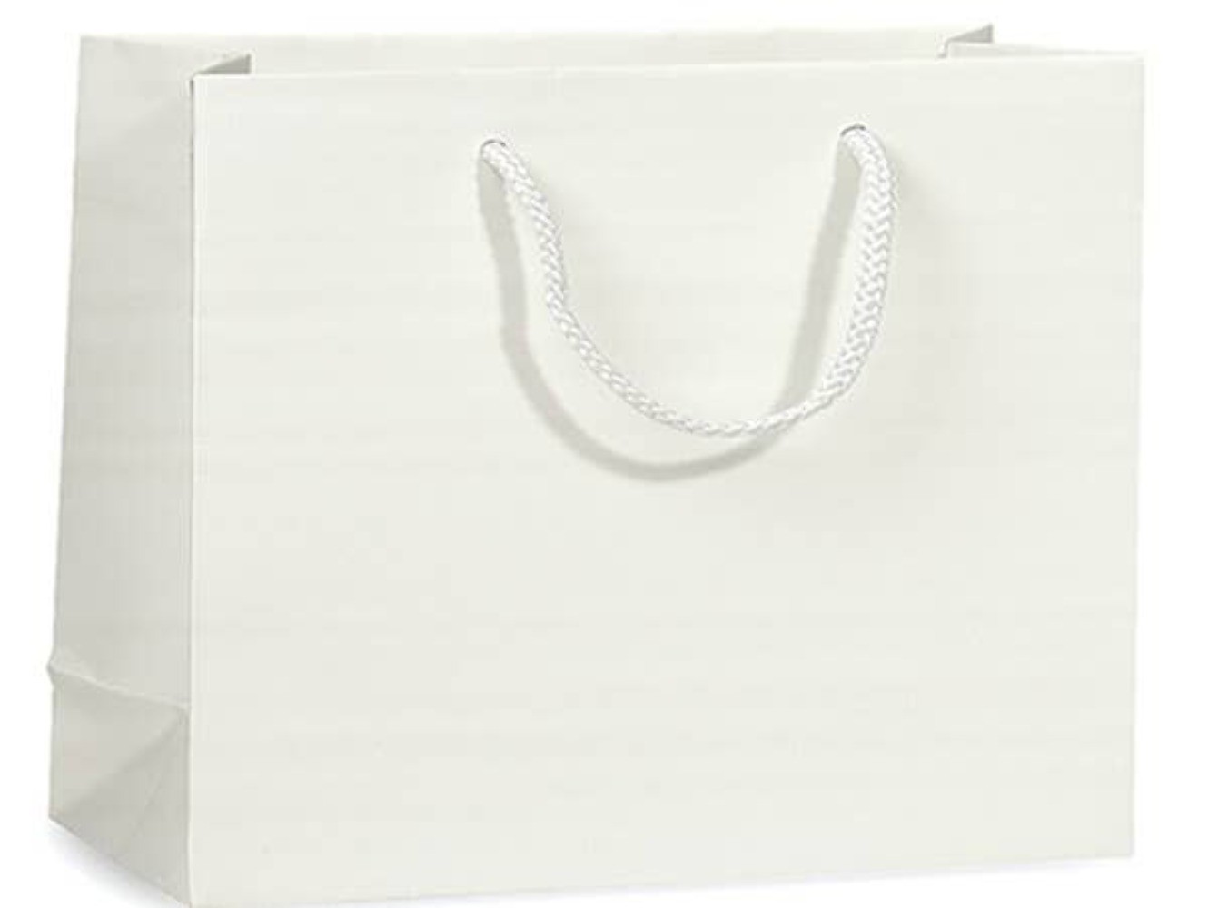 Matte Paper Cord Handle Gift Bags: Navy Matte- Medium