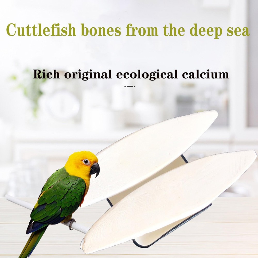Bird Cuttlebone for Parakeets Cuttlebone for Birds Natural Cuttlefish Bone Bulk