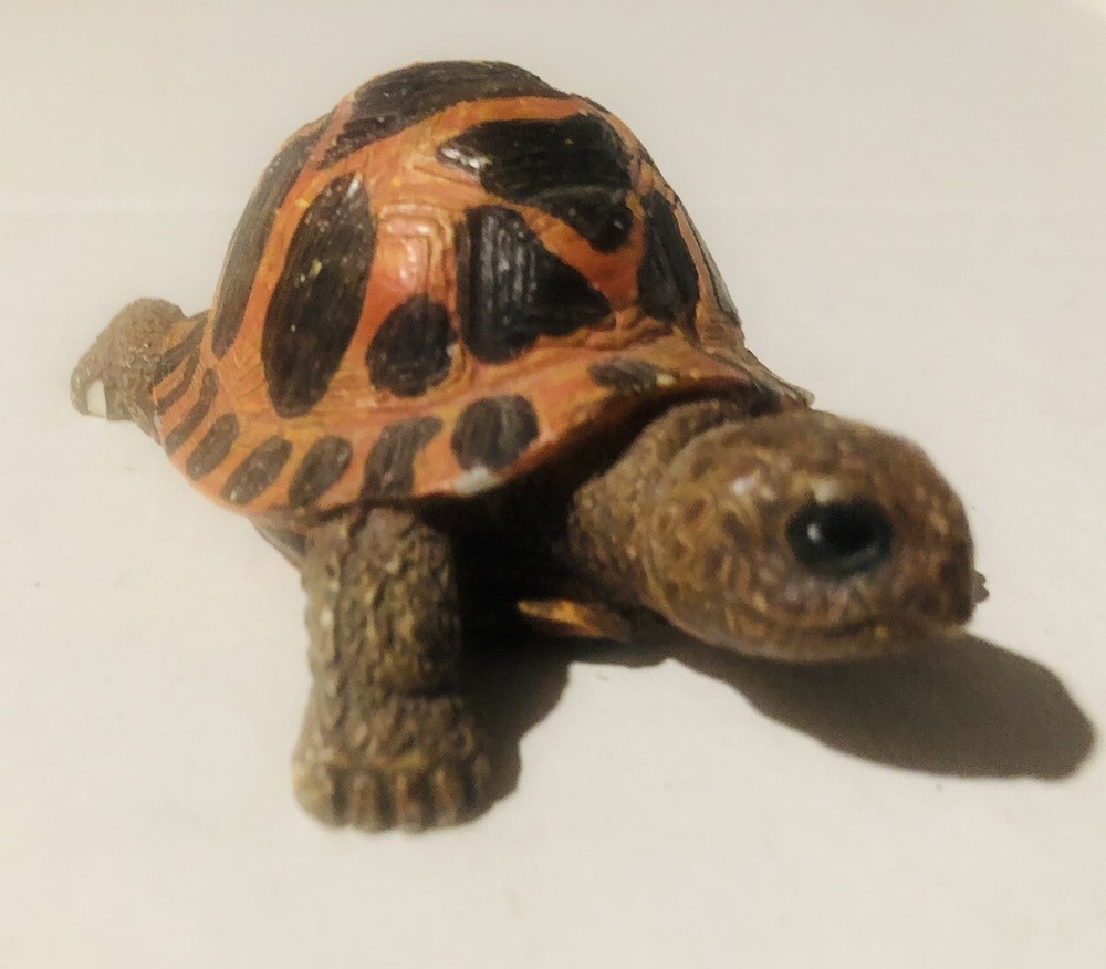 Five miniature Good Luck turtle figurines