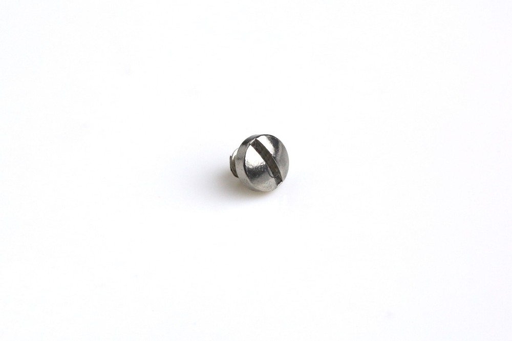 Ebel Replacement  Stainless Steel Watch Case Band Bracelet Strap Screw