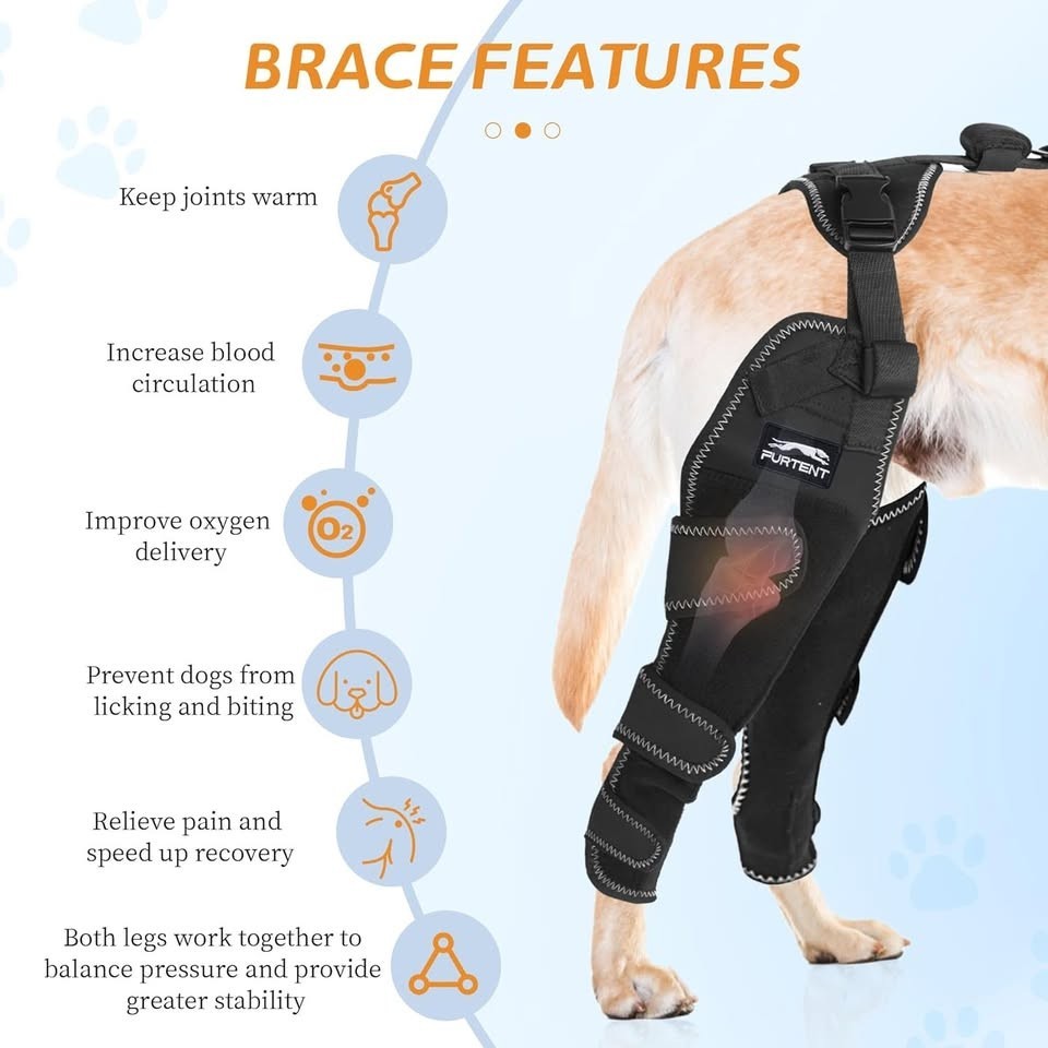 Brand New Dog ACL Brace Hind Leg Adjustable Leg and Hip (X-Large) Wrap Harness