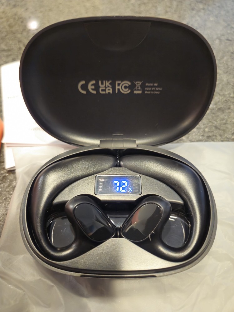 AI Translation Earpiece