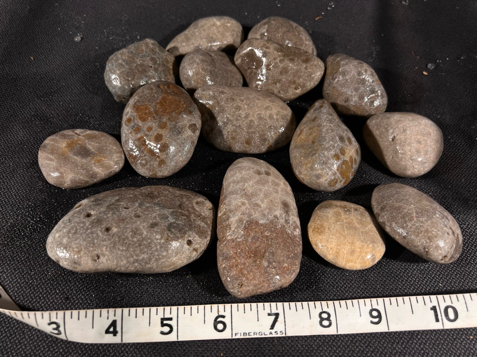 Parsley Stone Rough 3 lb 13 oz 15 in lot Michigan, good hexagonal patterns