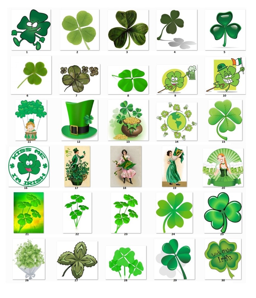 30 Personalized Address labels Clover St. Patrick's (C 1)