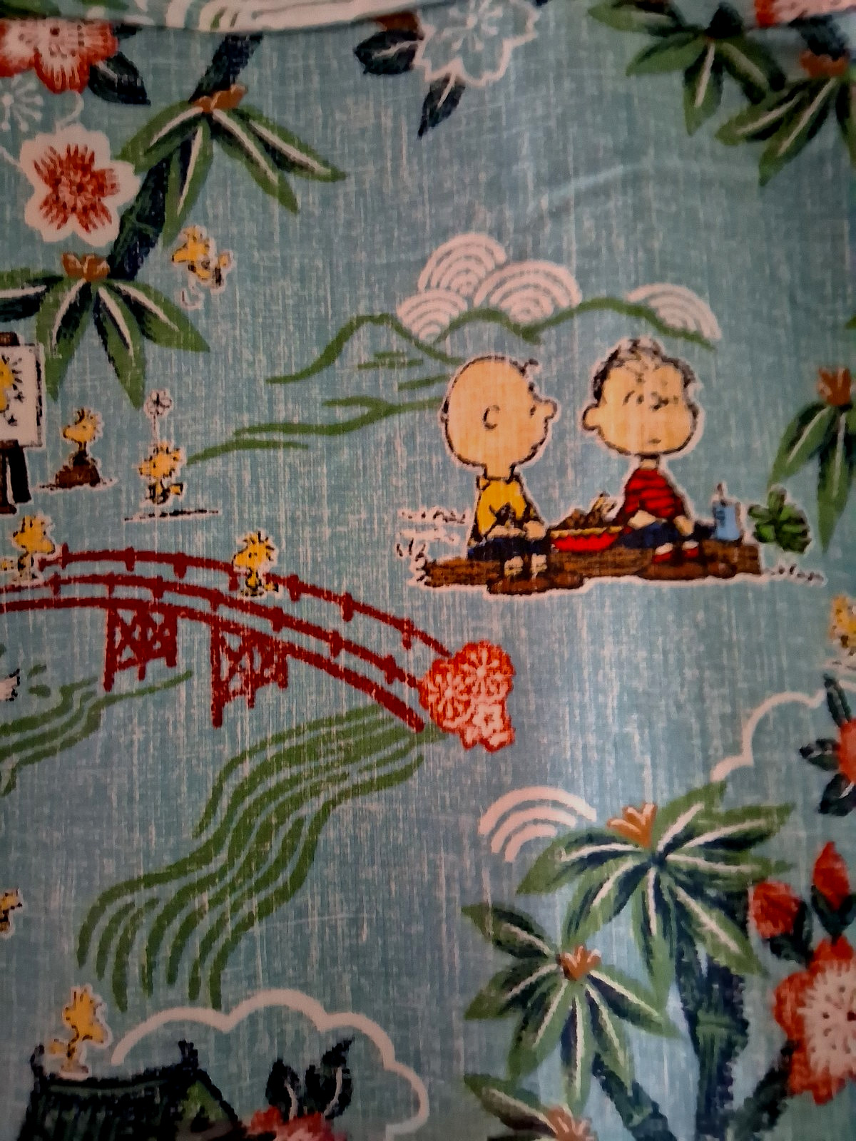 Reyn Spooner Peanuts in Japan Men's Aqua Button Front Shirt