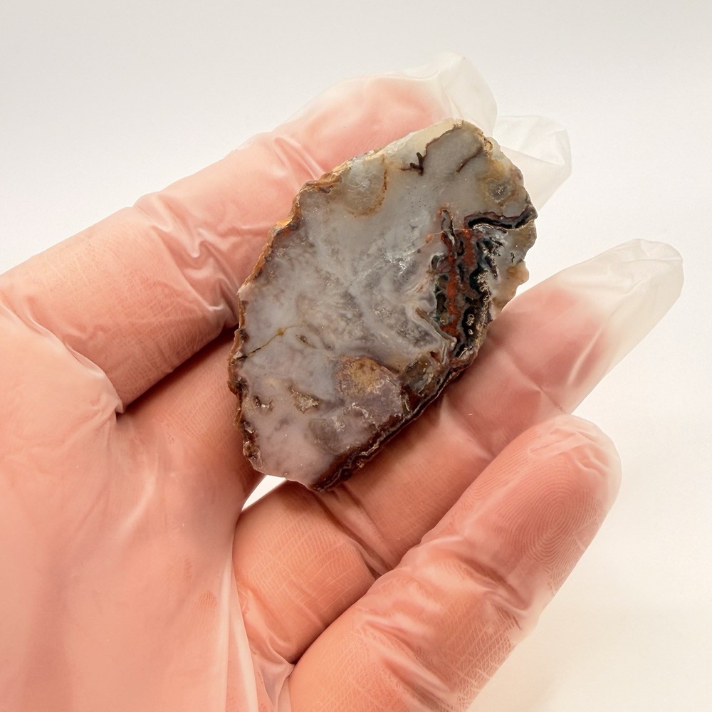 3pc Moroccan Agate Bundle 3.15oz Polished Fortification Moss Agate Slab Specimen