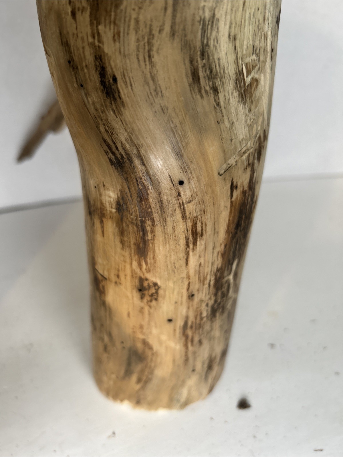 Driftwood¡ 2 Piece Set Cedar Taxidermy Beach Mountain Wedding 1 White Outside