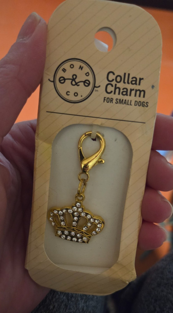 dog collar charm