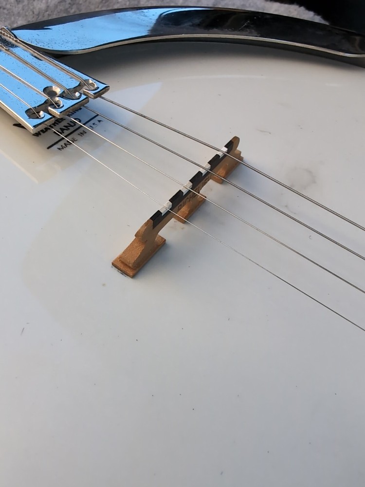 vega banjo 4 string With Case